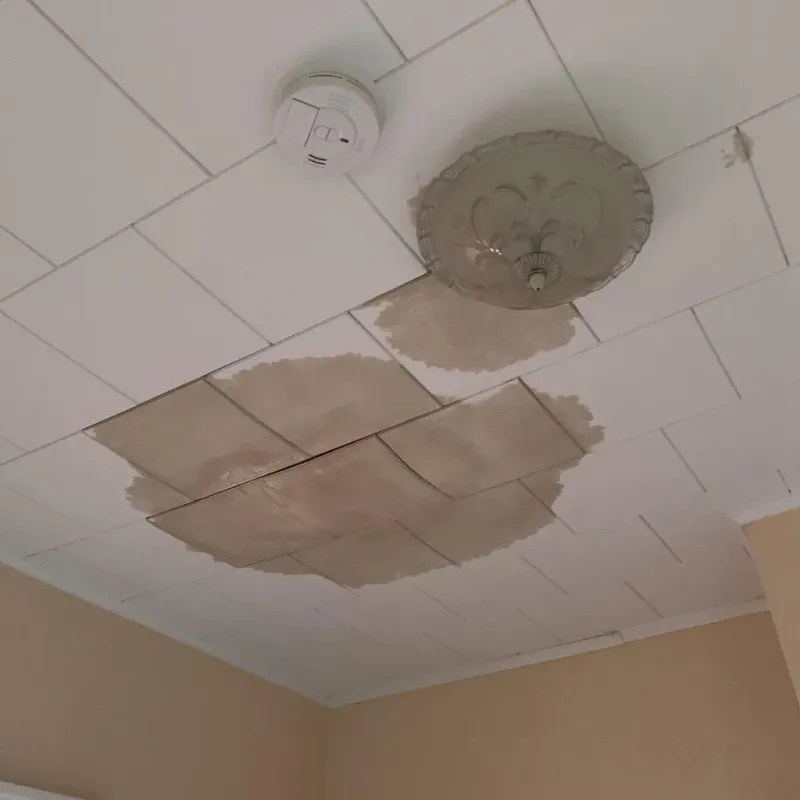 Ceiling Water Damage Repair in Dickens County, TX