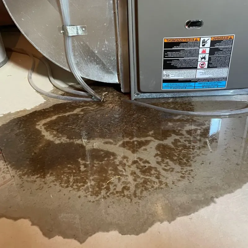 Pipe Burst and Leak Restoration in Dickens County, TX