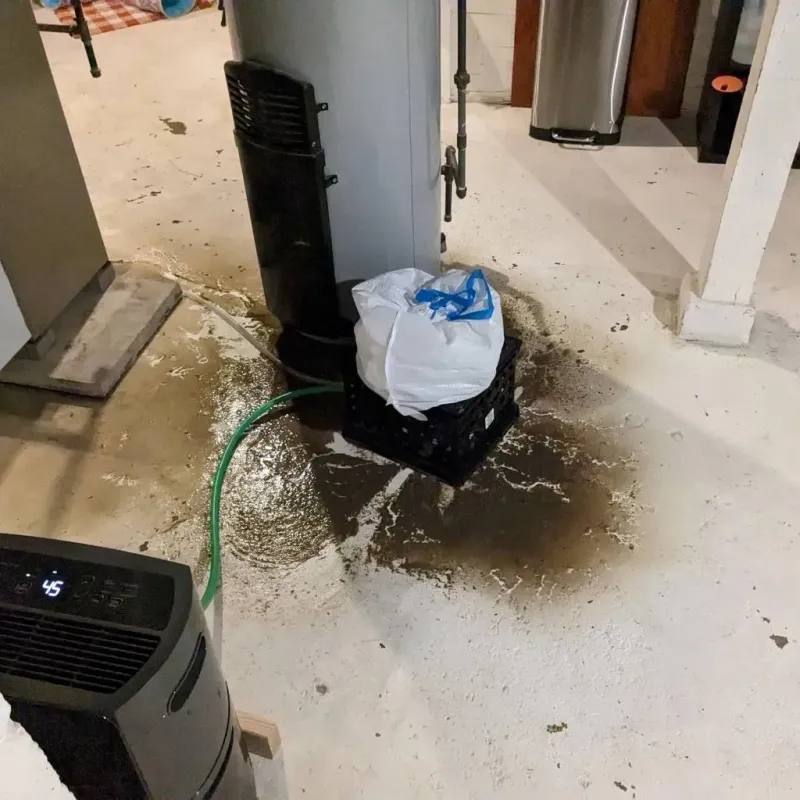 Sewage Backup Cleanup Service in Dickens County, TX